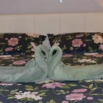 Aparthotel Montanelli 3*